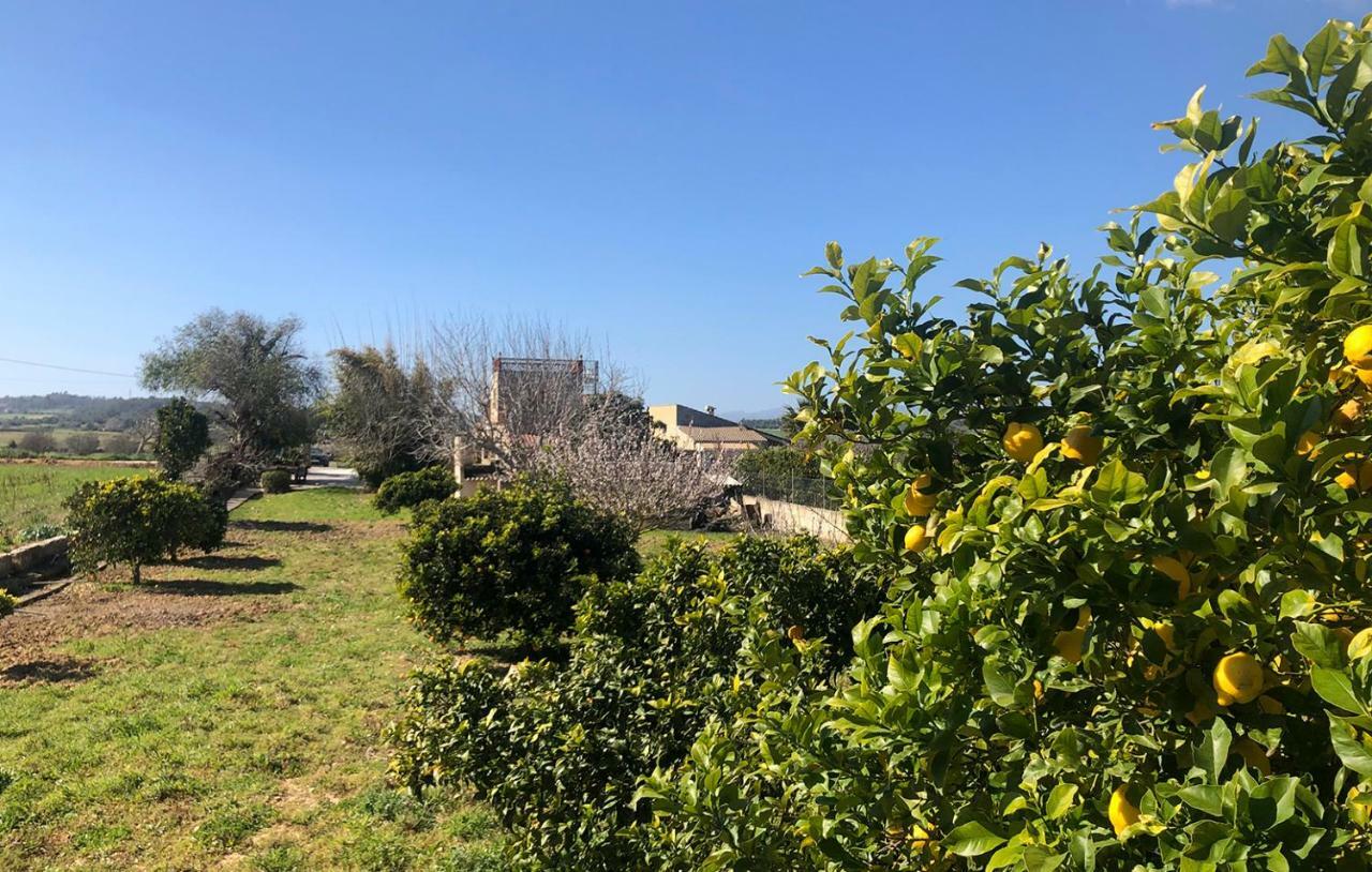Son Roig ,Beautiful Place In The Heart Of Mallorca -Etv 9979 María de la Salud Esterno foto