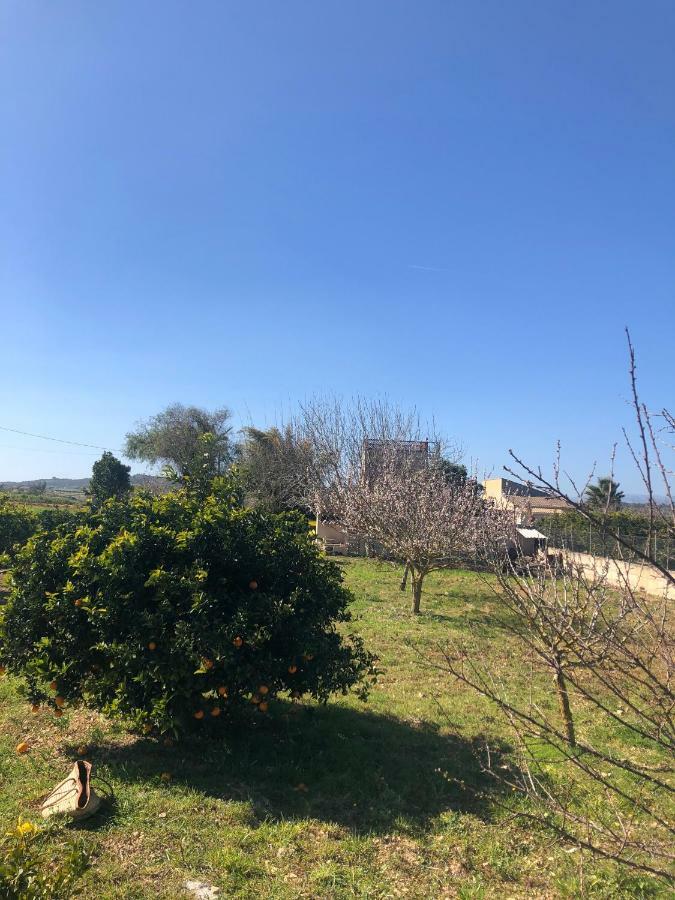 Son Roig ,Beautiful Place In The Heart Of Mallorca -Etv 9979 María de la Salud Esterno foto