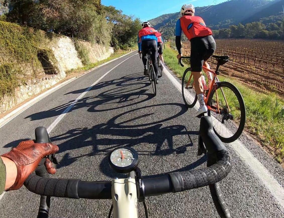 Son Roig ,Beautiful Place In The Heart Of Mallorca -Etv 9979 María de la Salud Esterno foto